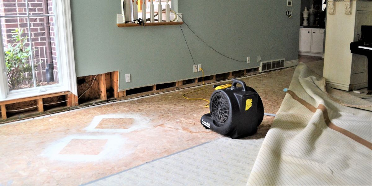 water damage remediation business operational optimization